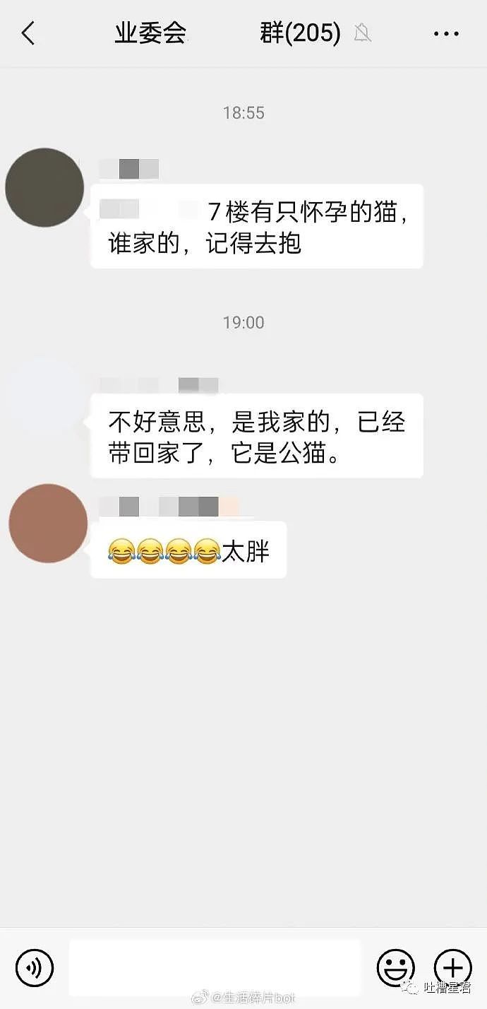 【爆笑】“郑爽再次回归网络？看到照片后…”网友震惊：你就是楚雨荨本荨吧（组图） - 46