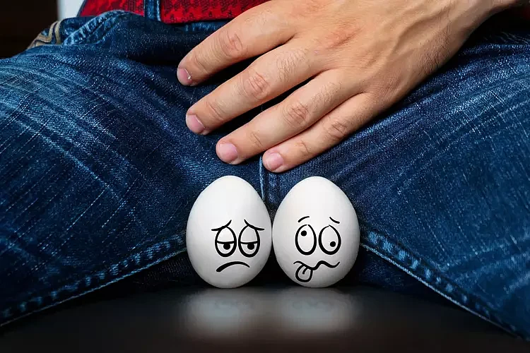 【健康】男性的蛋蛋为啥一高一低？这么重要的器官为什么不“藏深”一点？（组图） - 1