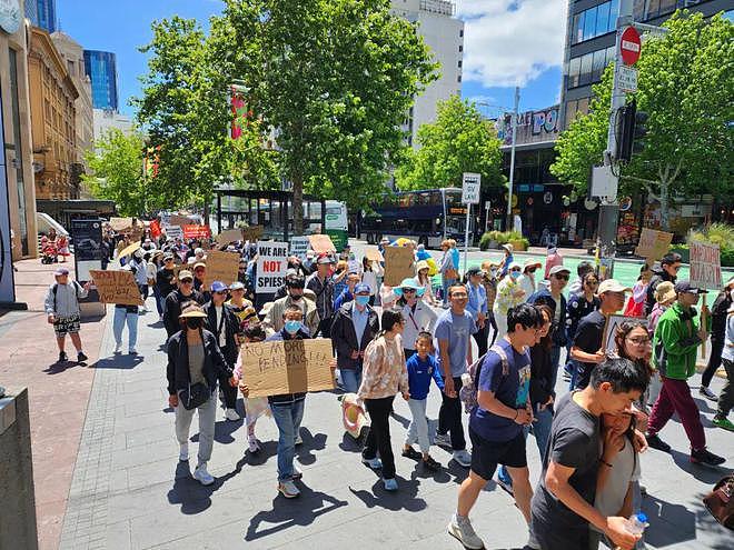 今天，上百名华人走上街头！他们喊话NZ政府：“移民申请应更透明、公平”（组图） - 13
