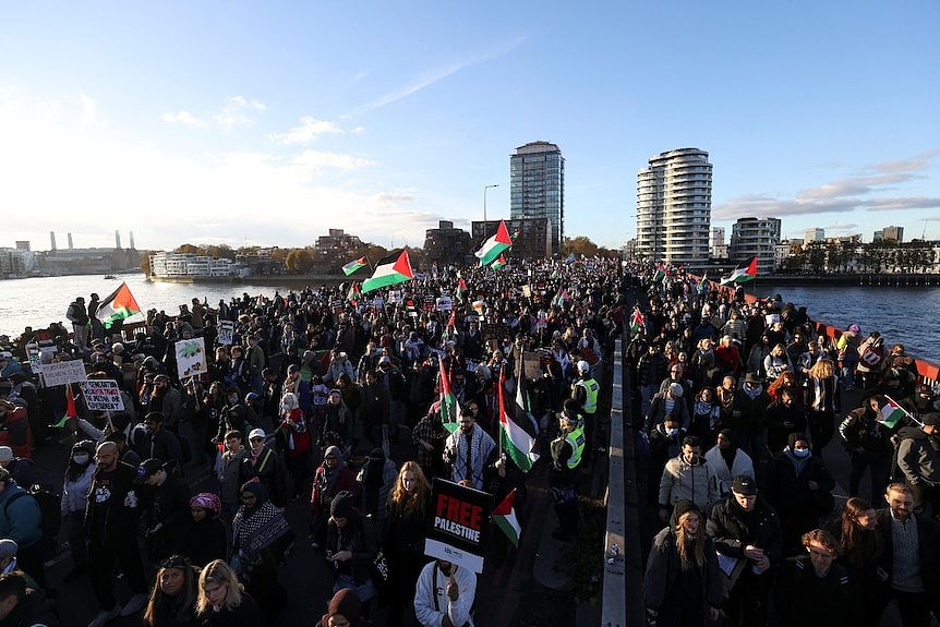 以色列-加沙战争：呼吁停火的抗议四起，为何有些政府却充耳不闻？ - 2