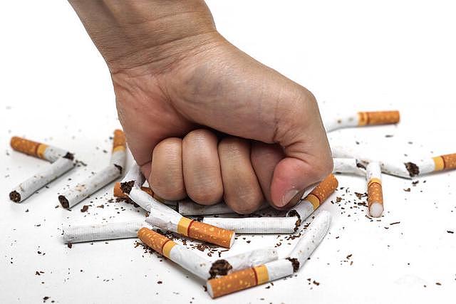 香烟里的尼古丁根本不致癌，吸烟有害健康是错的？真相来了（组图） - 3