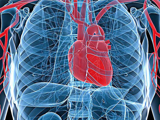 【健康】200万人研究发现：心跳快慢和寿命的关系，60岁后心率多少比较好（组图） - 2