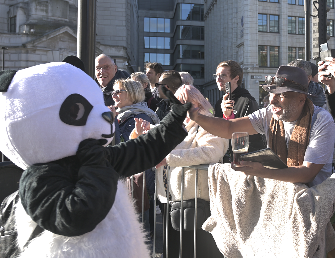 中国熊猫“杀“疯了！ 伦敦市长花车游行，万人齐聚尖叫，BBC：可爱，多点特写给熊猫（组图） - 26