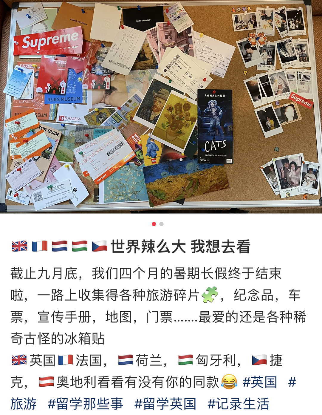 华人留学生崇尚极简生活，扎堆晒日常收藏：有人在澳洲捡破烂（组图） - 31
