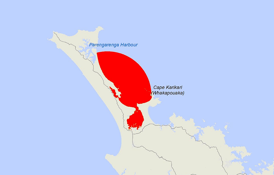 新西兰多个海岸的贝类检测出致命毒素！华人爱吃的这些赫然在列（组图） - 2