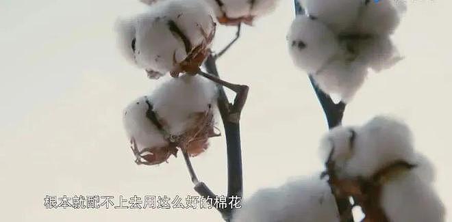 71岁香港女富豪：不当豪门阔太去种棉花，李嘉诚都夸她牛（组图） - 5