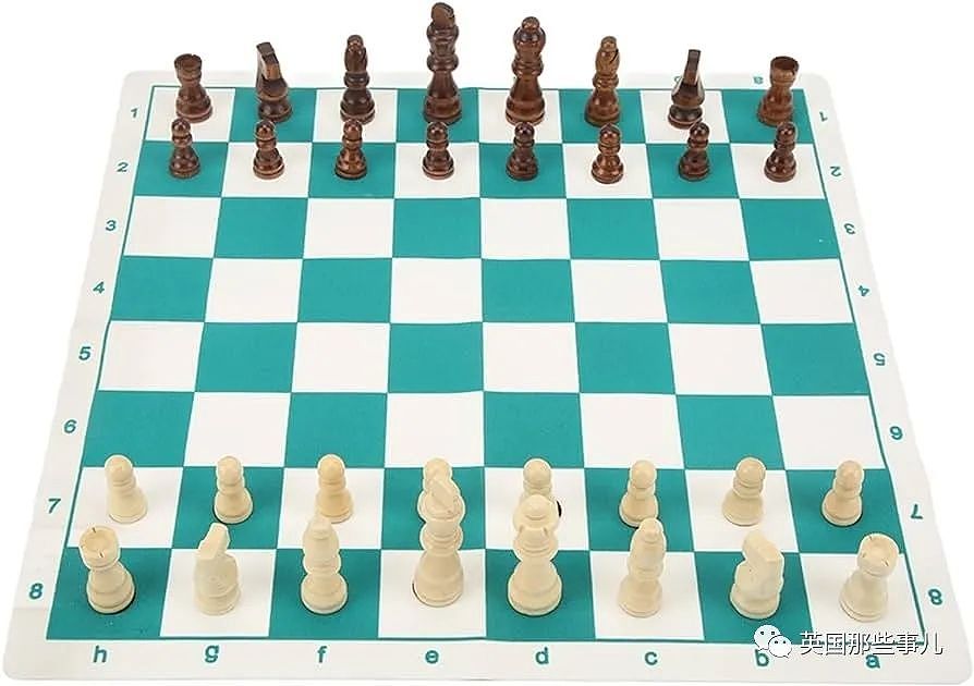 用“振动玩具”真能作弊战胜国际象棋大师？两个小哥决定亲自尝试一下…（组图） - 6