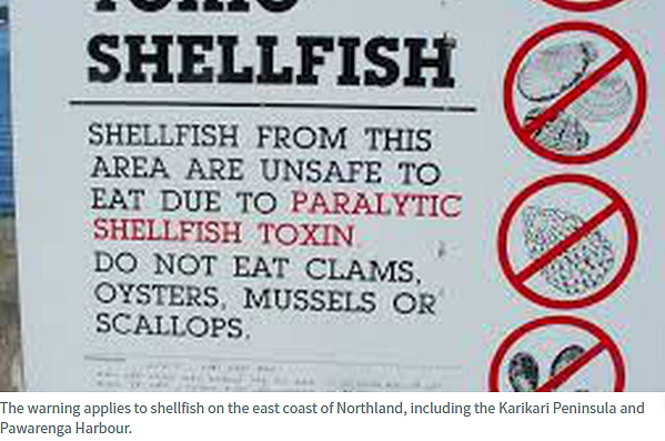 新西兰多个海岸的贝类检测出致命毒素！华人爱吃的这些赫然在列（组图） - 1