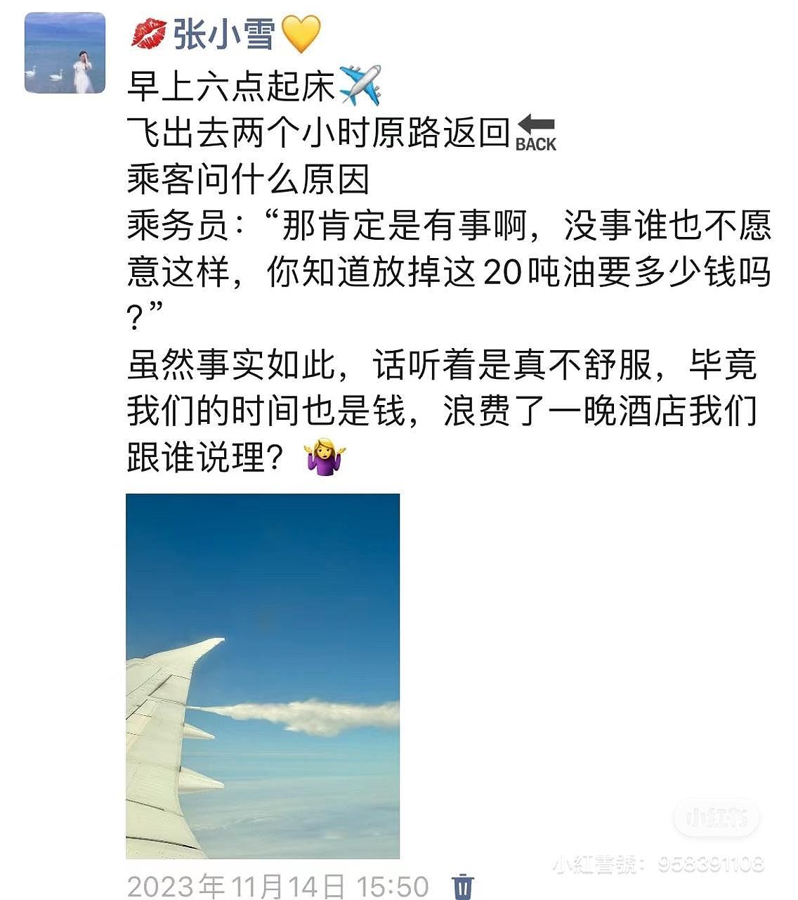 广州至墨尔本航班中途放油返航，南方航空：机械故障所致（组图） - 3