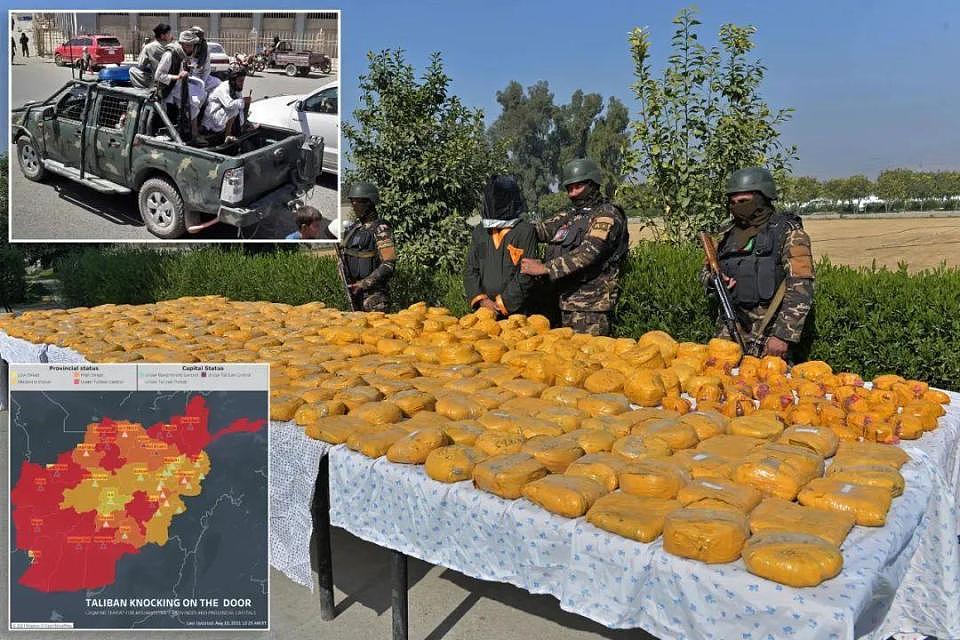 联合国宣布：阿富汗毒品种植面积锐减95%，塔利班是咋做到的？（组图） - 9