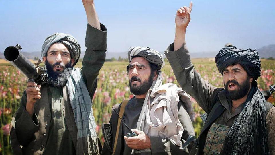 联合国宣布：阿富汗毒品种植面积锐减95%，塔利班是咋做到的？（组图） - 8