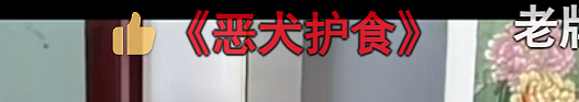 被抛弃两年后，回到农村的“小马云”彻底翻红：这一次的手段，更恶臭…（组图） - 6