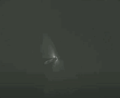 “星舰”二次试飞失败自毁！马斯克发声：祝贺SpaceX团队（组图） - 17