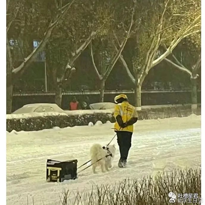 【爆笑】71岁刘晓庆跑步照流出后...网友傻眼：她是骨头也不会变老吗？！（组图） - 20