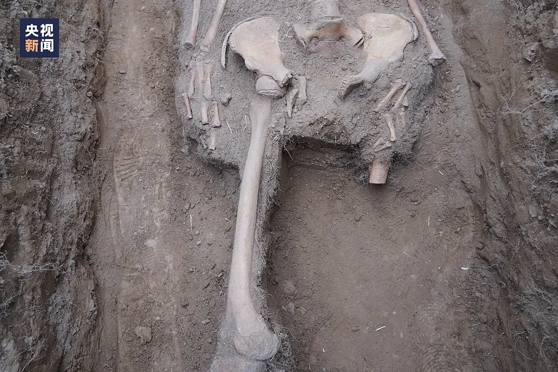 49具遗骸被发掘出土，背后故事让人心痛（组图） - 15