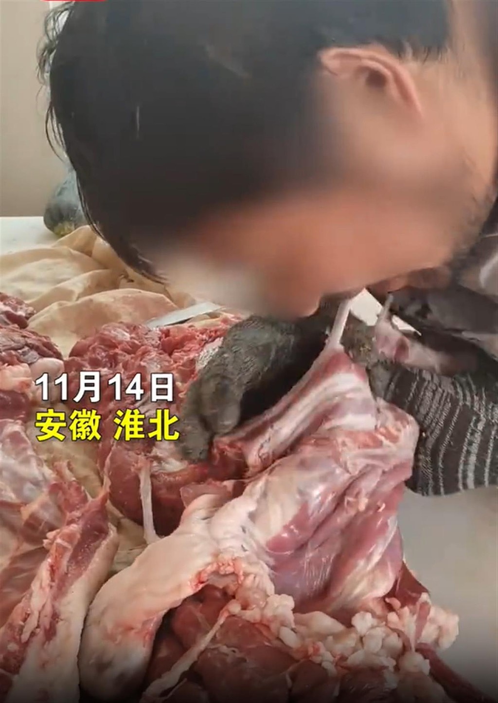 安徽肉店员工用嘴剔肉店主称是几十年老手艺 ！政府：摆拍（组图） - 2