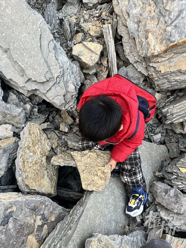5岁男孩爬山捡来的怪石头，竟是5亿年前古生物化石！“那时候，这里还是一片大海”（组图） - 1