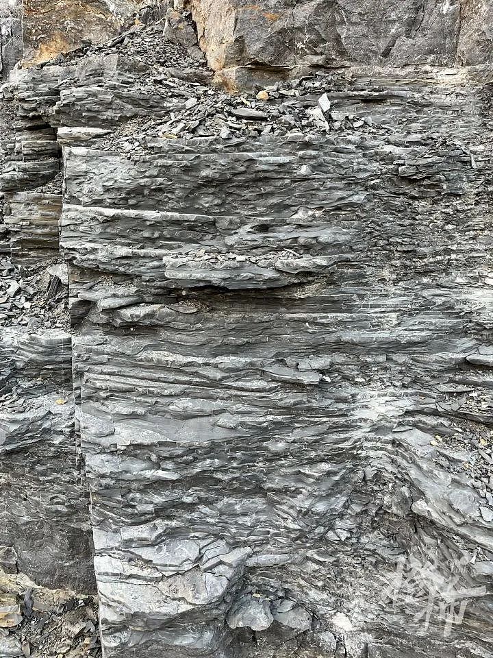 5岁男孩爬山捡来的怪石头，竟是5亿年前古生物化石！“那时候，这里还是一片大海”（组图） - 4