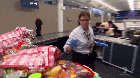 中国“巨婴”登陆悉尼，在机场违规被罚款！哭着喊要找妈妈，把安检员都看懵了...（组图） - 12