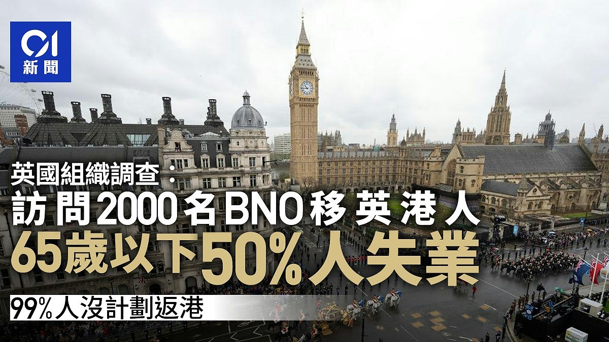 英国调查BNO移民：5成65岁以下受访移英港人失业！99%无意回港（组图） - 1