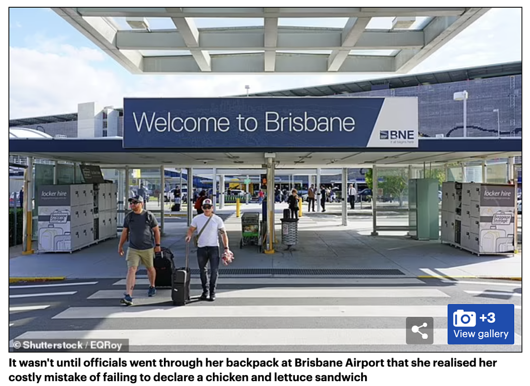 中国“巨婴”登陆悉尼，在机场违规被罚款！哭着喊要找妈妈，把安检员都看懵了...（组图） - 16