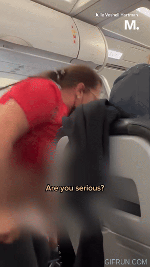 我才不管！边疆航空女乘客在飞机走道脱裤尿尿全都录（组图） - 1