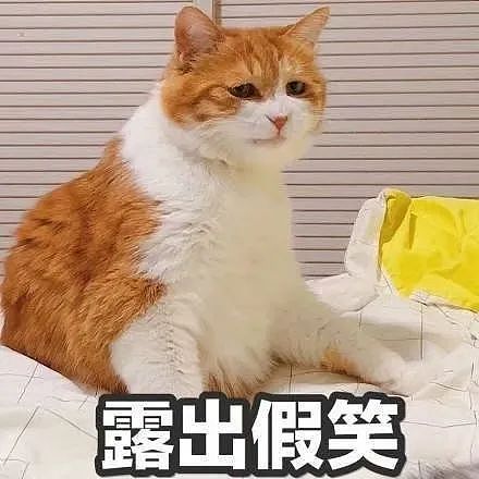 【宠物】我若离世，请将房子留给猫猫狗狗！老人竟立这般惊人遗嘱（组图） - 13