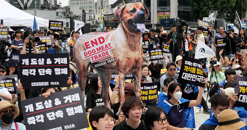 韩国要立法禁卖狗肉！狗肉协会抗议：考虑放生200万只到农林部长家门（组图） - 1