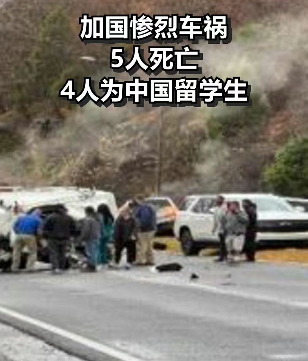 留学圈惨剧！四名未成年中国留学生车祸丧生，或涉嫌深夜违规驾驶，还有一名42岁妈妈不治身亡（组图） - 2