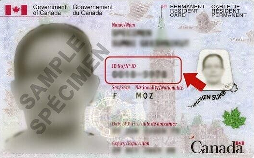 华人被困在加拿大，回国探亲走不了！ 全国10万移民被积压（组图） - 5