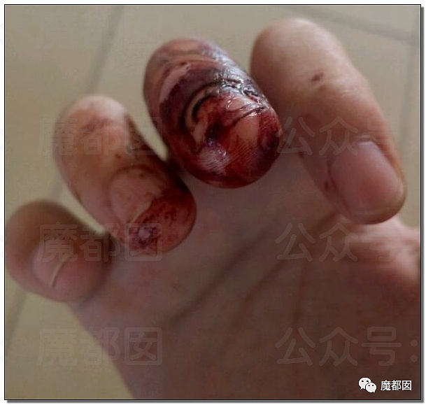震惊！上海外滩顶级奢华酒店漂亮女住客在房内被蛇咬伤（组图） - 26