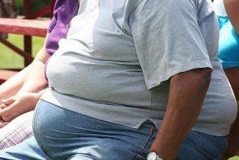 华人惊恐发现，来了澳洲以后体重开始超标！全球肥胖榜，澳洲排名靠前，据说与地理位置有关（组图） - 1