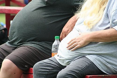 华人惊恐发现，来了澳洲以后体重开始超标！全球肥胖榜，澳洲排名靠前，据说与地理位置有关（组图） - 5