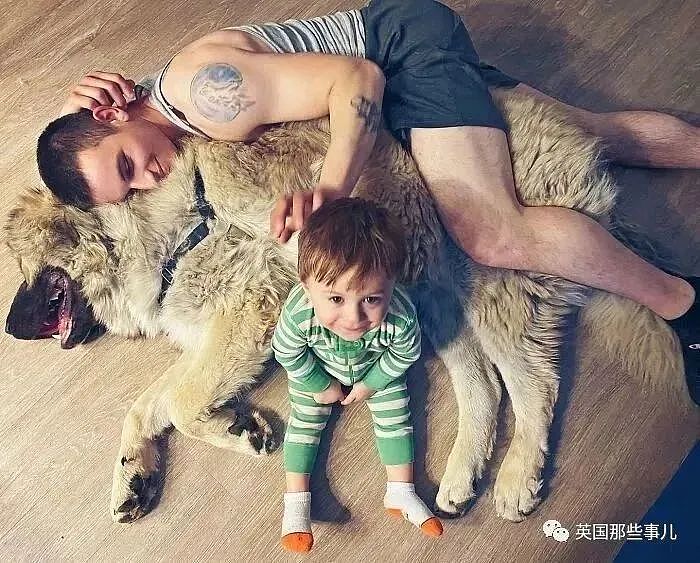 【宠物】巨型高加索犬陪伴宝宝，画风超帅！铲屎官：很难养，要慎重（组图） - 9
