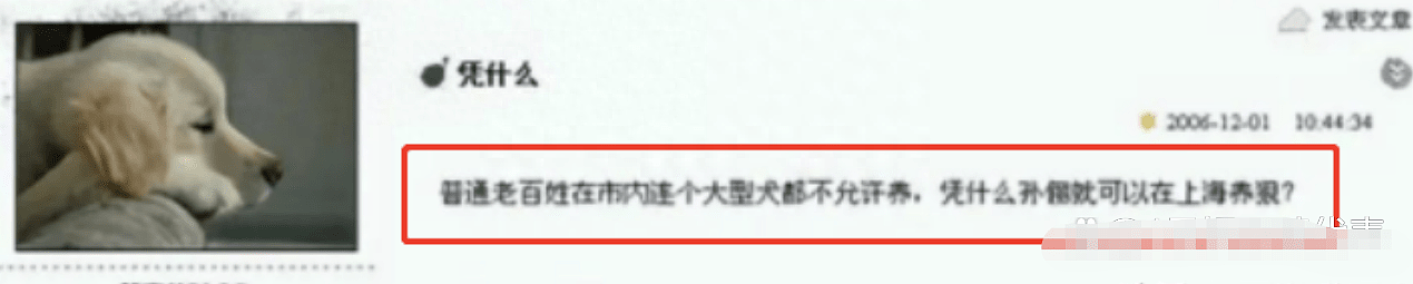 孙俪被嘲膀大腰圆！深陷圈养丑闻、被传花8千万买丈夫出轨照婚姻名存实亡？（组图） - 33