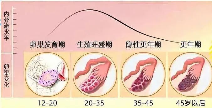 “卵巢早衰”让女性断崖式衰老 ，做6件事延缓进程（组图） - 1