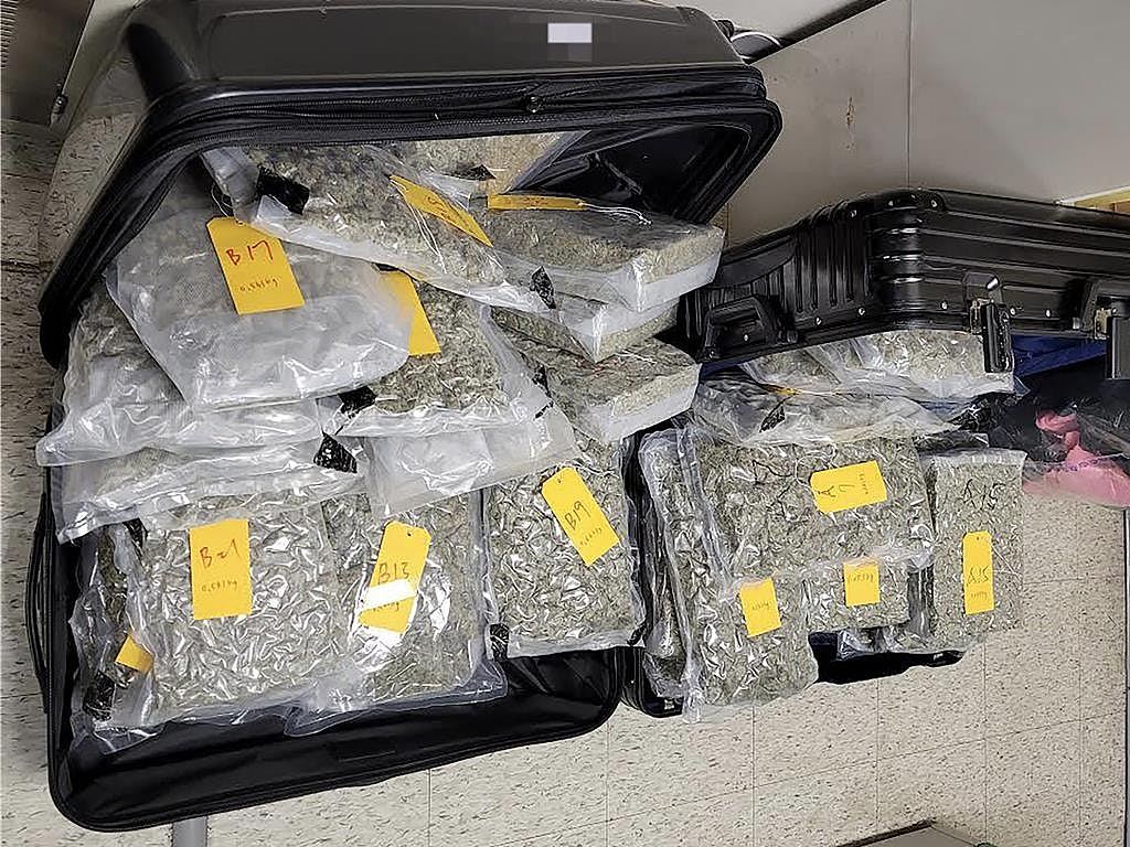 香港男子台湾转机回港被捕！行李查获逾27公斤大麻辩称“帮朋友带礼物”（组图） - 3