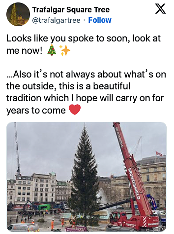 挪威给英国送了一棵“非常敷衍“的圣诞树，网友们凌乱：不想送可以不送...（组图） - 19
