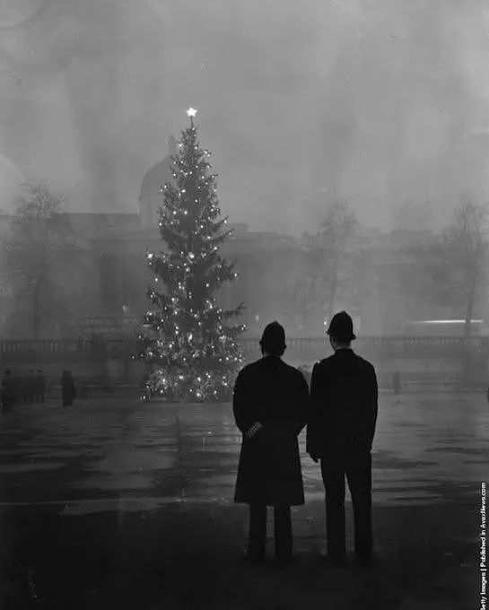 挪威给英国送了一棵“非常敷衍“的圣诞树，网友们凌乱：不想送可以不送...（组图） - 1