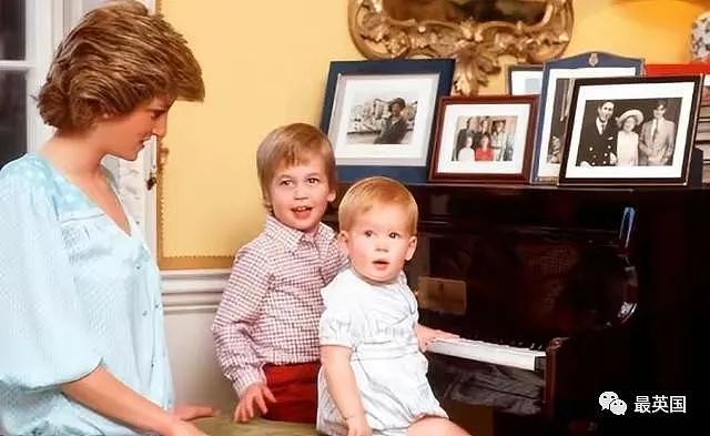 威廉王子惊现超市卖杂志！竟是为了履行戴妃遗愿！童年对妈妈的承诺，如今斥资300万镑坚守…（组图） - 27