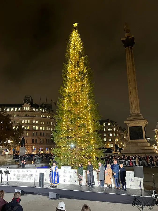 挪威给英国送了一棵“非常敷衍“的圣诞树，网友们凌乱：不想送可以不送...（组图） - 20