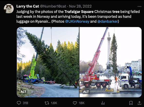 挪威给英国送了一棵“非常敷衍“的圣诞树，网友们凌乱：不想送可以不送...（组图） - 12