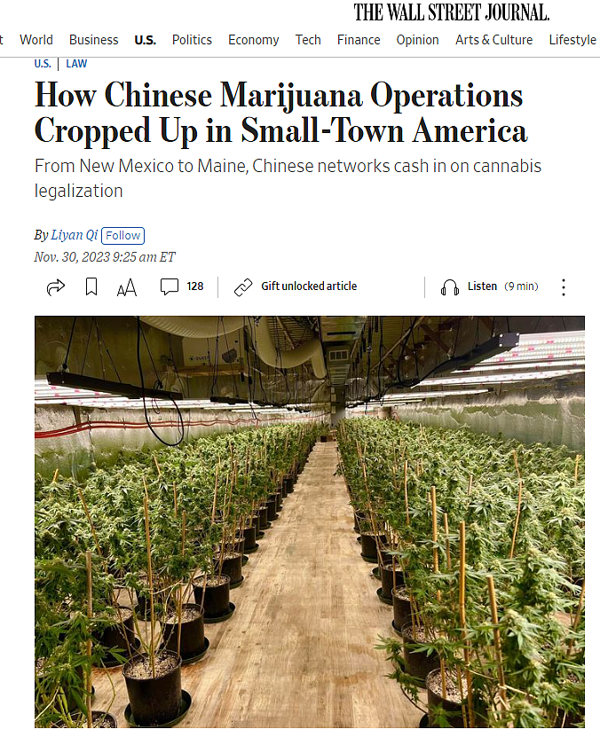 华人大麻种植网络遍布全美，涉嫌洗钱、经营妓院等多种犯罪行为（组图） - 1