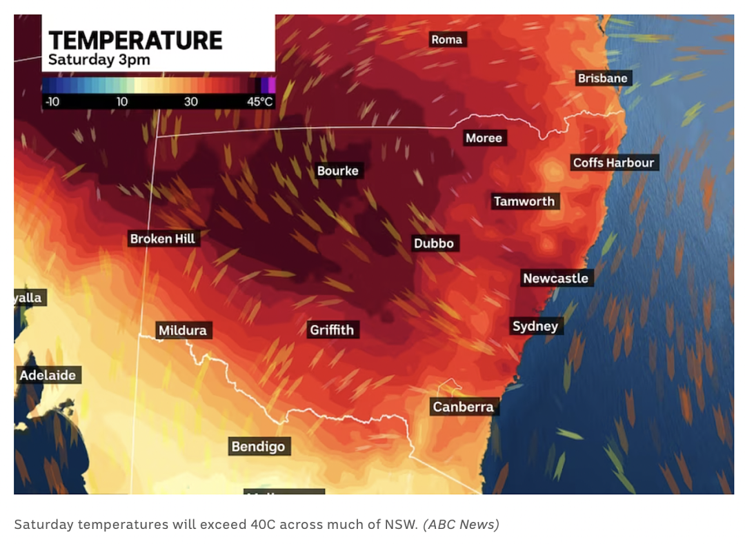 最高44度！悉尼正式开启烤箱模式！19所学校官宣：不上课！这个夏天难过了...（组图） - 6