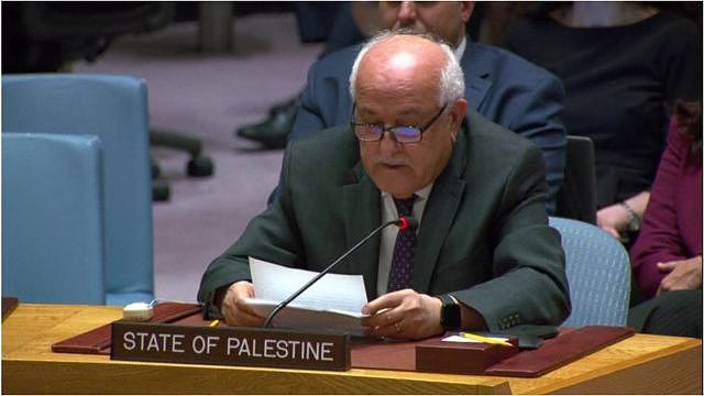 以巴冲突：美国一票否决联合国加沙停火决议案（组图） - 8