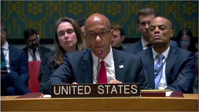 以巴冲突：美国一票否决联合国加沙停火决议案（组图） - 5