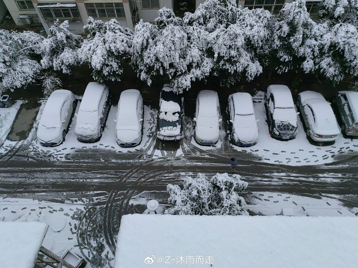 寒潮来袭中国北京天津等地下雪，广东或迎断崖式降温（组图） - 7