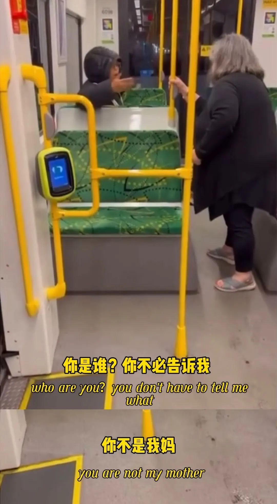 “你不是我妈！”有视频！墨local大妈指责亚洲女孩电车逃票，网民吵翻天（组图） - 1