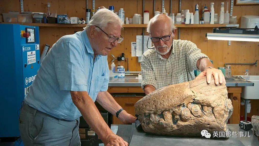 英国挖出了“水下霸王龙“头骨化石？2米大头，3只眼睛，130颗尖牙，太可怕（组图） - 2