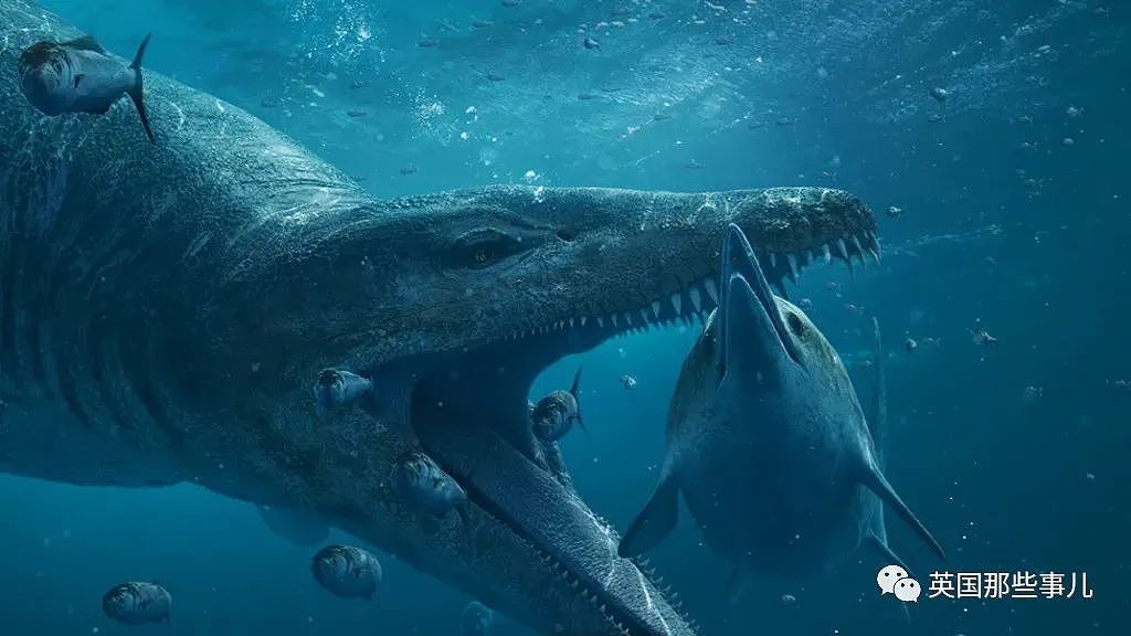 英国挖出了“水下霸王龙“头骨化石？2米大头，3只眼睛，130颗尖牙，太可怕（组图） - 5
